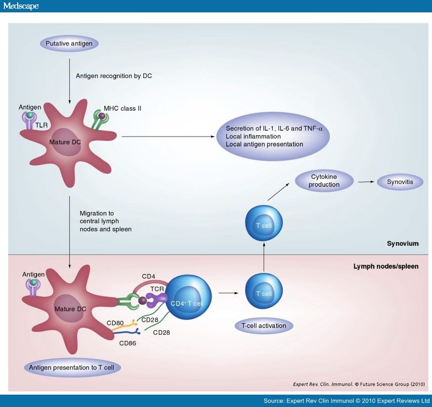 management-of-giant-cell-arteritis-and-polymyalgia-rheumatica-page-10