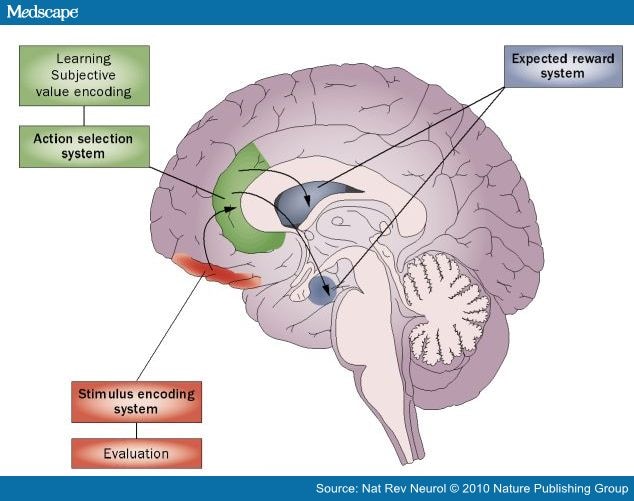 Decision-Making Cognition in Neurodegenerative Diseases