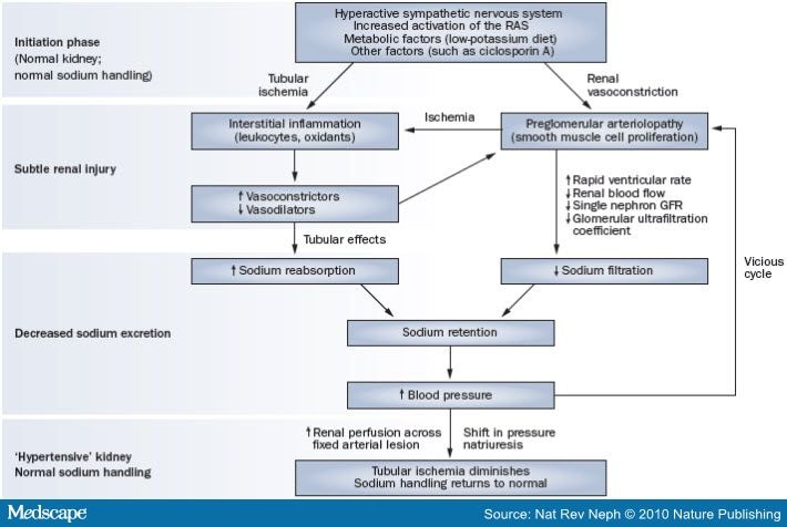 Pathophysiology Of Hypertension Flowchart