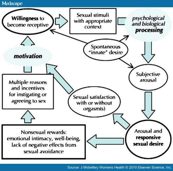 Female Sexual Function Dysfunction and Pregnancy Page 3