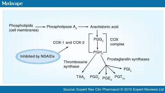 Defining The Cox Inhibitor Selectivity Of Nsaids