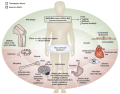 Rheumatoid Arthritis: Glucocorticoid Co-therapy With DMARDs