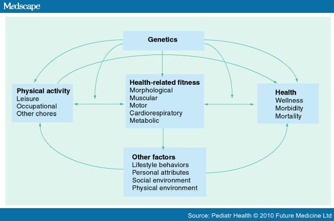 Fitness and Training in Children With Juvenile Idiopathic ...