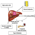 Relationships of Circulating SHBG With Metabolic Traits - Page 4