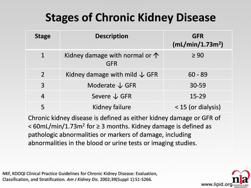 Lipid Lowering in the Chronic Kidney Disease Patient (Transcript)