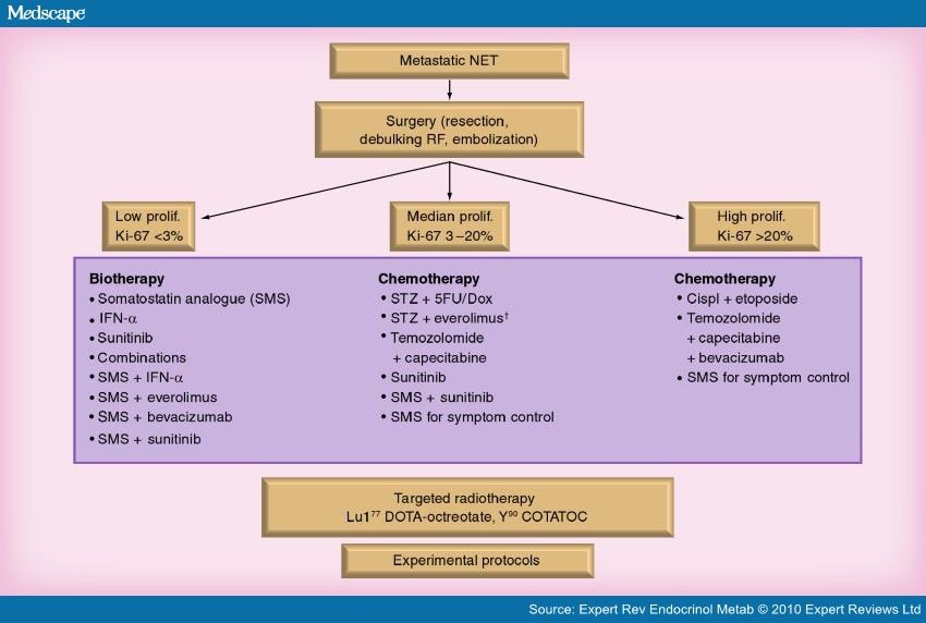 Management Of Neuroendocrine Tumors Current And Future Therapies 6685