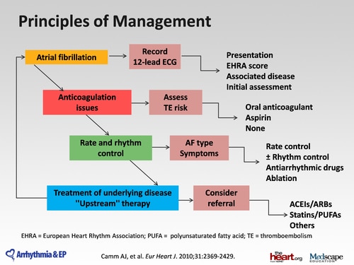 2011 ESC Guidelines: Antithrombotic Management of AF (Transcript)