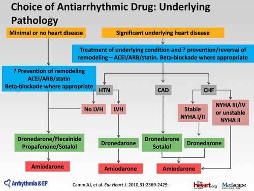 Antiarrhythmic Drugs Chart