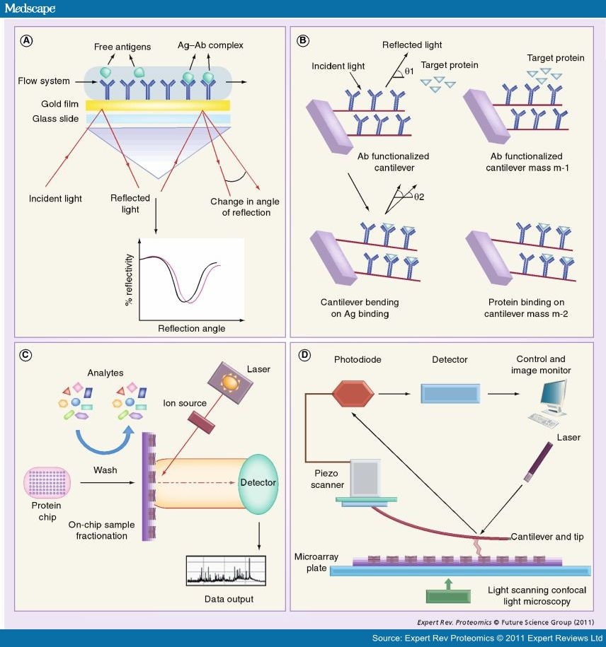 Protein Microarrays and Novel Detection Platforms