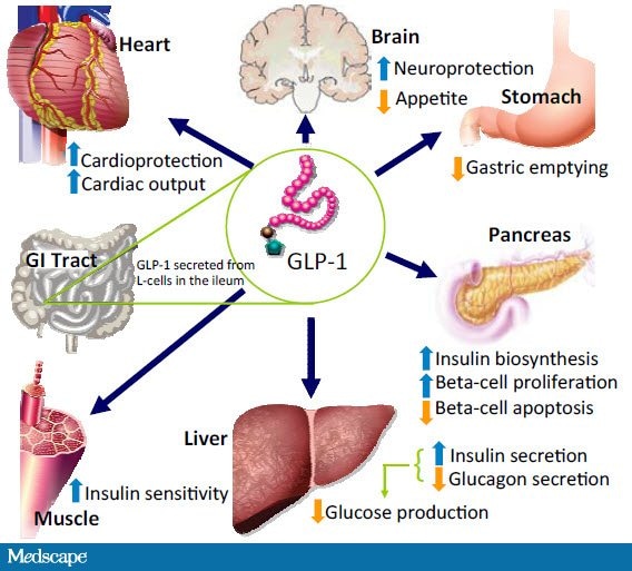 Treatment of Type 2 Diabetes: GLP-1 Receptor Agonists