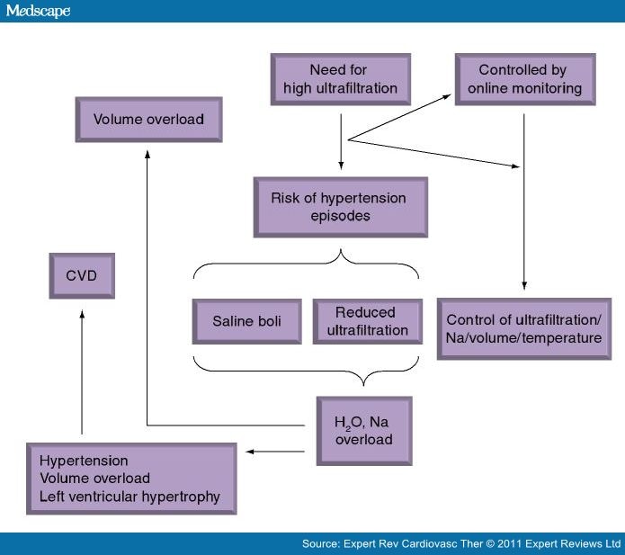 Hemodialysis Machines: Minimizing Cardiovascular Complications - Page 2