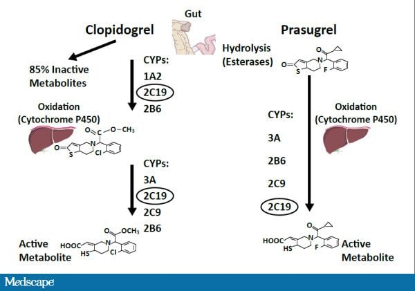 what is the moa of <a href="https://digitales.com.au/blog/wp-content/review/bloodpressure/a-patient-takes-a-nitroglycerin-tablet-sublingual-for-chest-pain.php">just click for source</a> title=