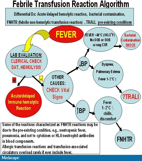 blood-transfusion-reactions-a-comprehensive-nursing-guide-health-and