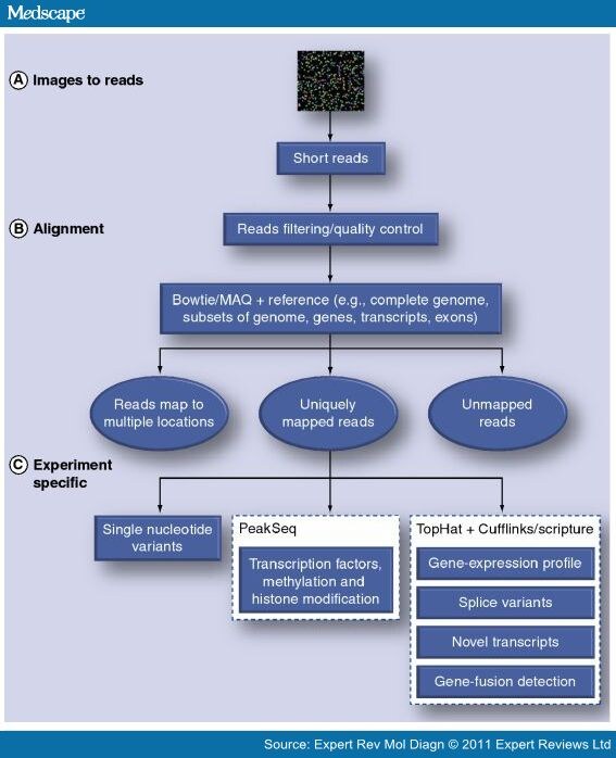 Next-Generation Sequencing in Molecular Diagnostics - Page 3