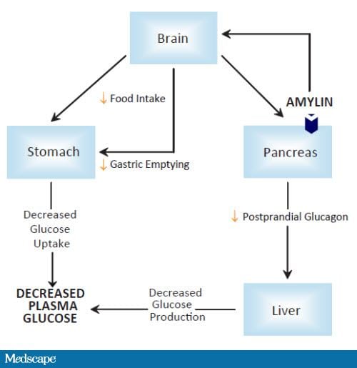 Diabetic Patients on Insulin: Strategies for Postprandial Glucose ...