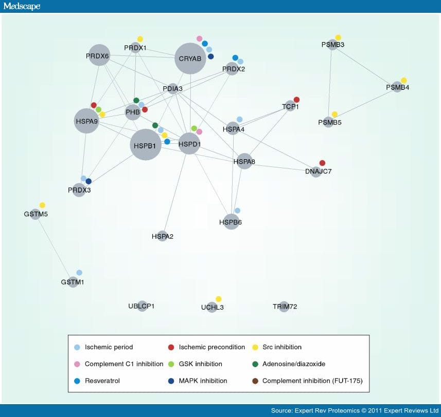 Cardiac Proteomic Responses to Ischemia - Page 11