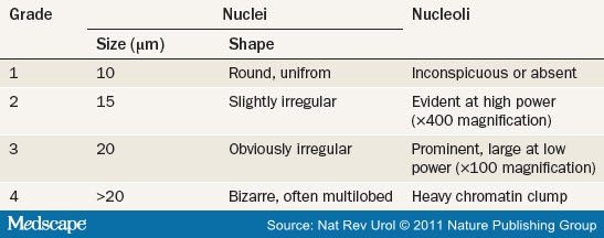 h statistics table Misdiagnosis Clear Carcinoma Cell of Renal Cell