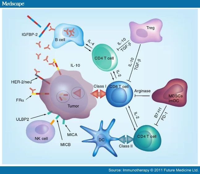 Immunity and Immune Suppression in Human Ovarian Cancer