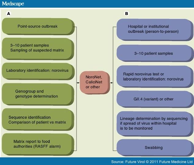 Human Norovirus Infection Surveillance and Source Tracking