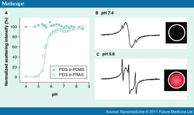 Nitroxyl Radical-Containing Nanoparticles in Oxidative Stress - Page 2