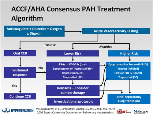 Diagnosis and Treatment of Scleroderma-Related PAH: Improving Patient ...