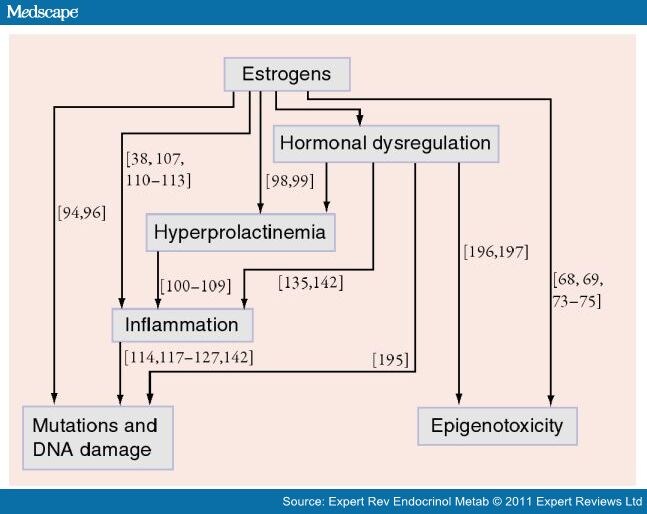 Estrogen Action and Prostate Cancer