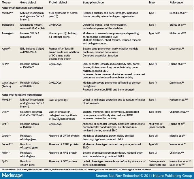 New Perspectives on Osteogenesis Imperfecta