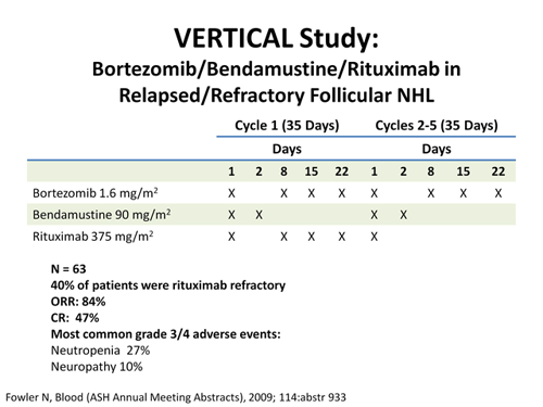 Follicular Lymphoma: What Is The Best Therapy And When? (Transcript)