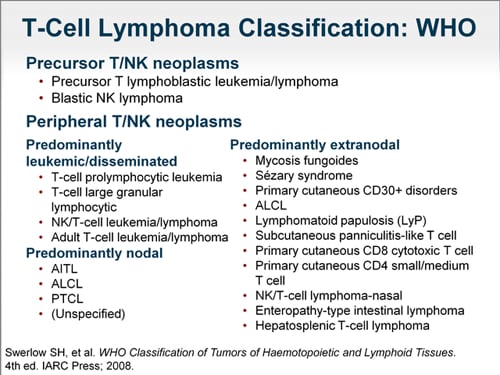 T Cell Lymphoma Current Understanding And Next Questions Transcript 