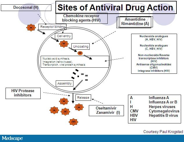 who anti viral medication