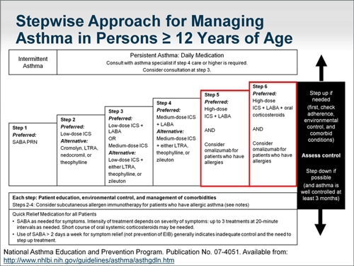 Moderate-to-Severe Persistent Asthma: Evidence-Based Management ...