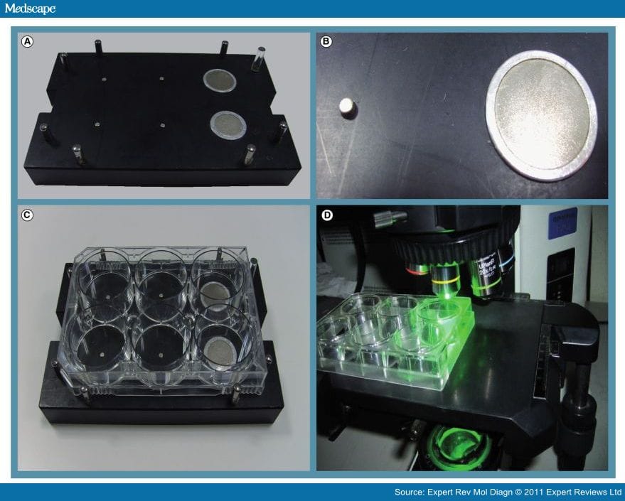 Isolation of Rare Circulating Tumor Cells in Cancer Patients - Page 5