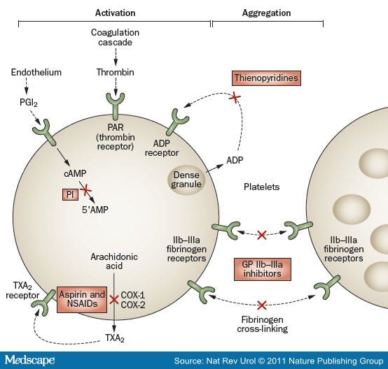 Plavix method of action
