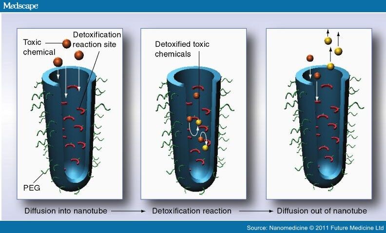 Nanomaterials Emerging Role in Drug Intoxication Treatment - Page 4