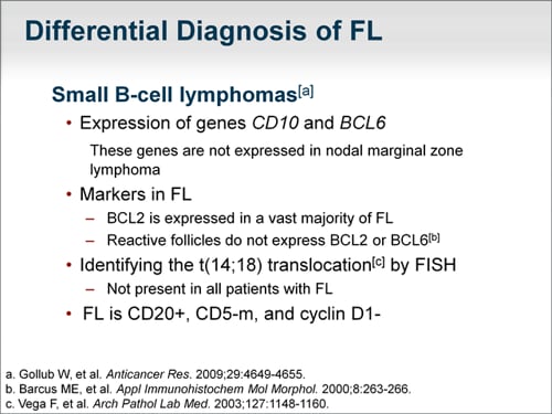 Follicular Lymphoma: Evaluating First-Line Treatment Options (Transcript)