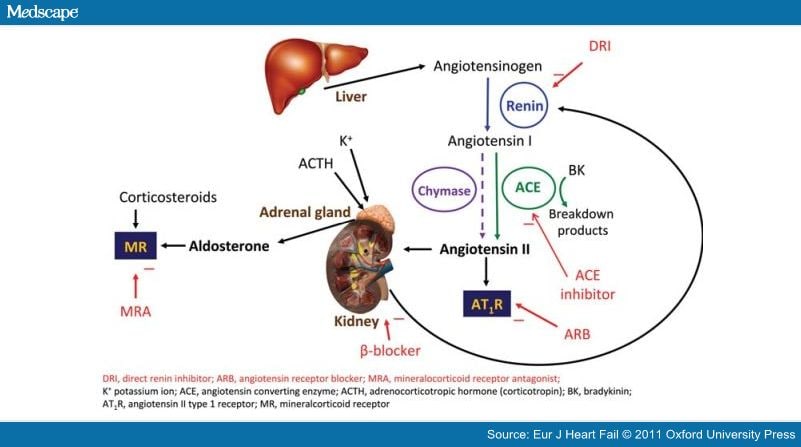 Evidence for RAS as Cornerstone Therapy for Systolic HF - Page 2