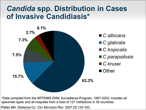 Invasive Candidiasis The Challenges Of Diagnosis And Early Therapy 