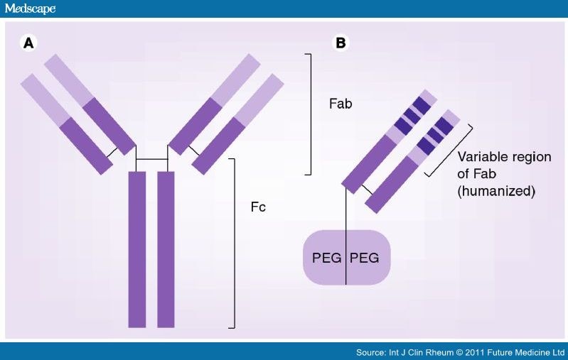 Certolizumab Pegol in Rheumatoid Arthritis