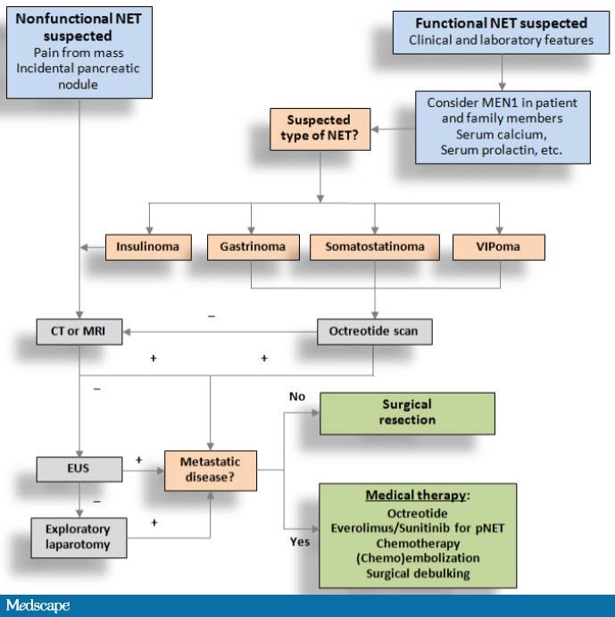 Pancreatic NETs: Current Challenges and Advances