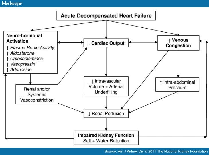 Decongestive Treatment of Acute Decompensated Heart Failure