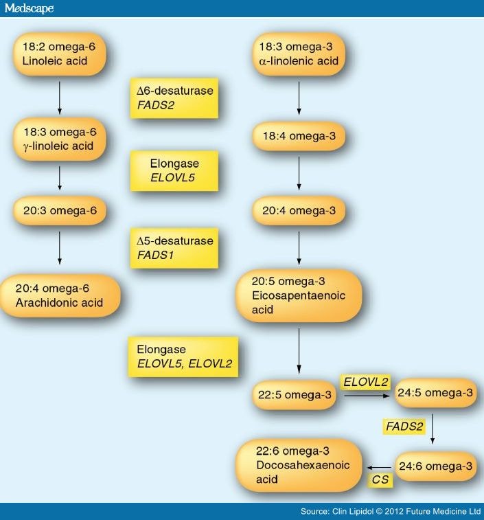 Fatty Acid Supplementation During Pregnancy and Lactation Page 2