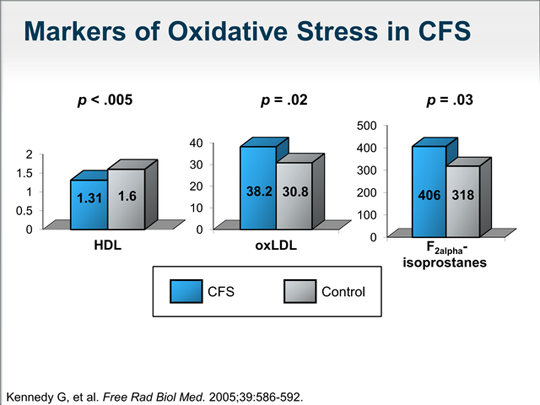 Slide 29.
