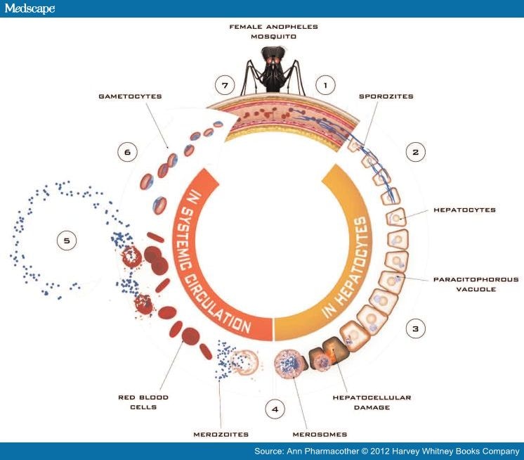 Mosquirix (RTS,S): Vaccine to Prevent Plasmodium falciparum