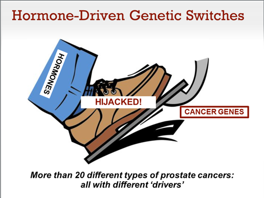 Slide 52.