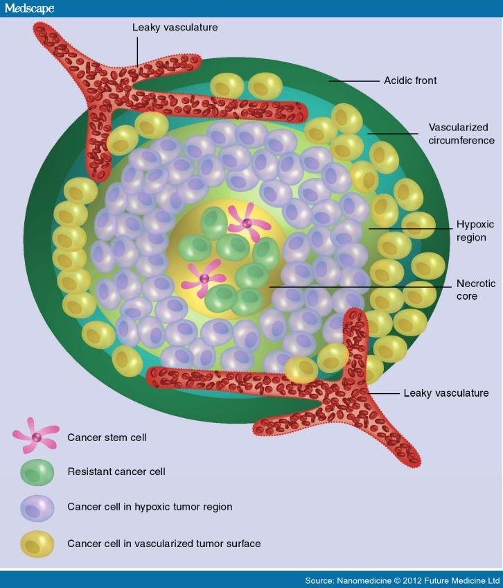 Nanomedicine, Cancer Stem Cells, and Drug Resistance