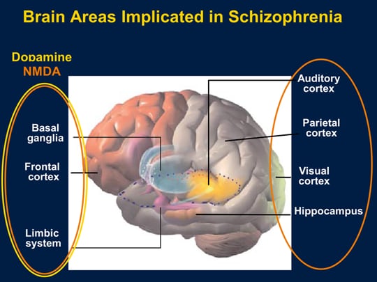 Unraveling the Complexities of Schizophrenia: New Targets, New