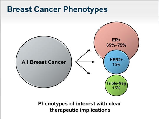 State-of-the-Art Management Of HER2-Positive Breast Cancer (Transcript)