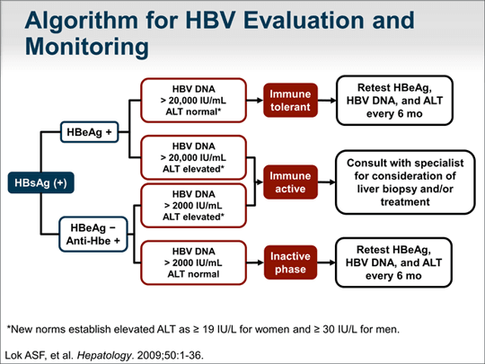 Best Practices in HBV Screening and Linkage to Care: The Asian American ...