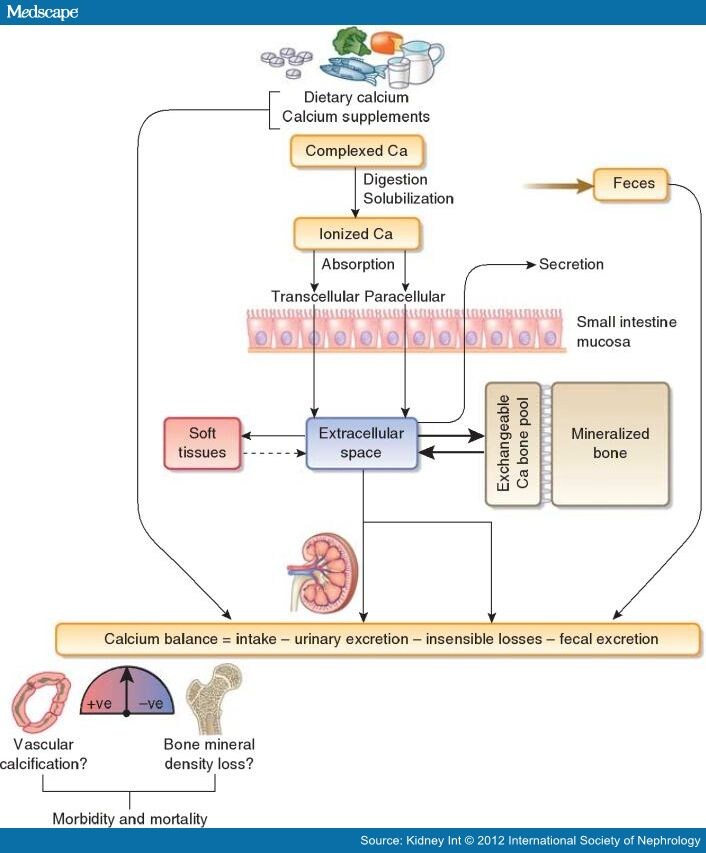 Calcium Balance in Chronic Kidney Disease