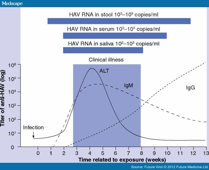 Laboratory Diagnosis of Hepatitis A - Page 3